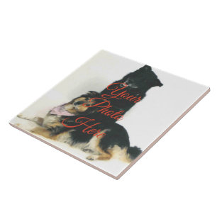 Custom Ceramic Photo Tile - 2 Sizes