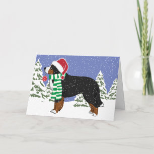 Custom Christmas Bernese Mt Holiday Dog