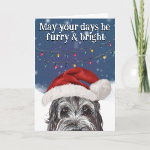 Custom Christmas card from Portuguese Water Dog