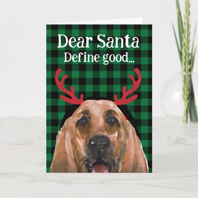 Custom Christmas card from your Bloodhound (Front)