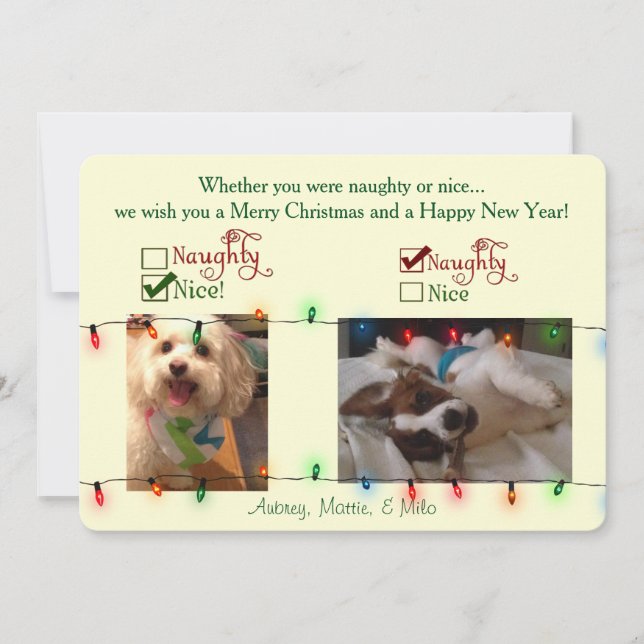 Custom Christmas Dog Card (Front)