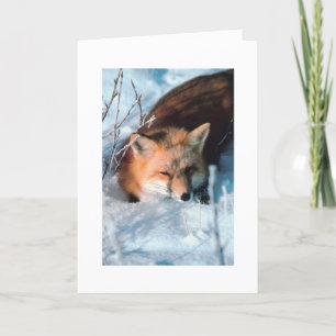 Custom Christmas Greeting Snow Fox Holiday Card