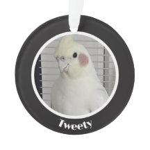 Custom Cockatiel Photo Memorial