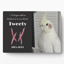 Custom Cockatiel Photo Memorial