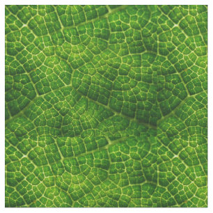 Custom Combed Cotton Fabric