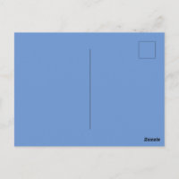 Custom Cornflower Blue Picture-Perfect Standard 