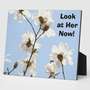 Custom Counter Signs Plaque Blue Magnolia Flowers