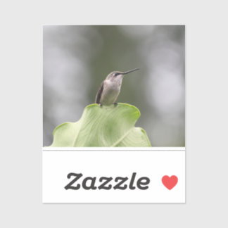 Custom-Cut Vinyl Sticker