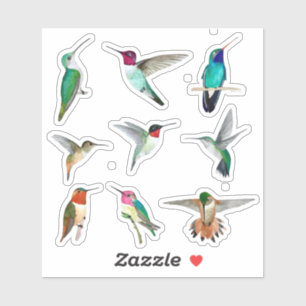 Custom-Cut Vinyl Sticker