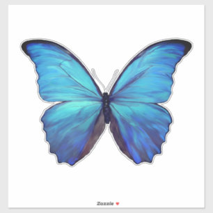 Custom Cut Vinyl Stickers - 1 Blue Morpho Butterfl
