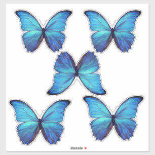 Custom Cut Vinyl Stickers - 5 Blue Morpho Butterfl