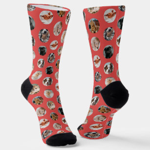 Custom Cute 8-Photo Pet Collage   Red/Pink Socks