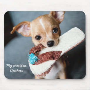 Custom Cute Chihuahua Mouse Pad Photo