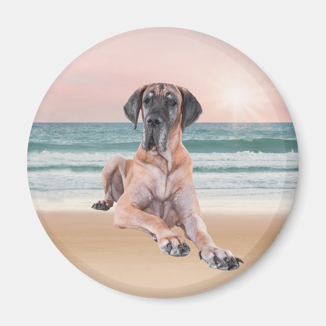 Custom Cute Great Dane Dog Sitting on Beach Magnet (Front)