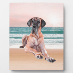 Custom Cute Great Dane Dog Sitting on Beach Plaque