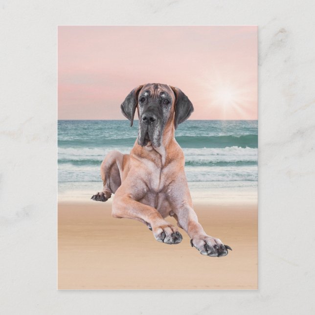 Custom Cute Great Dane Dog Sitting on Beach Postcard (Front)