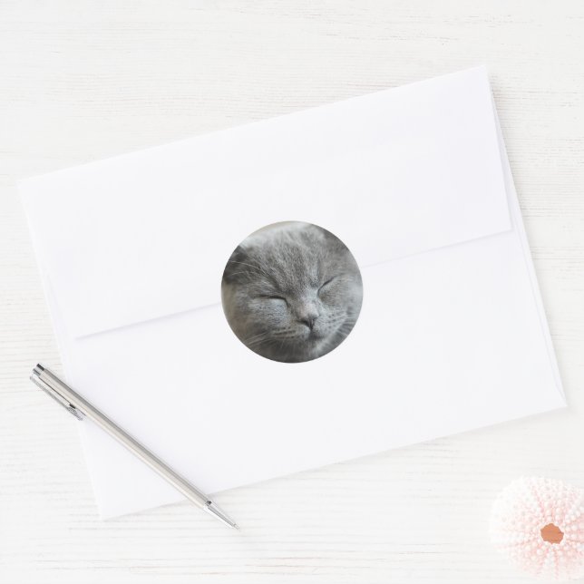 Custom Cute Grey  kitty Cat Photo Classic Round Sticker (Envelope)