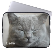 Custom Cute Grey Kitty Face Photo
