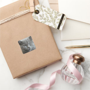 Custom Cute Grey Kitty Face Photo Square Sticker
