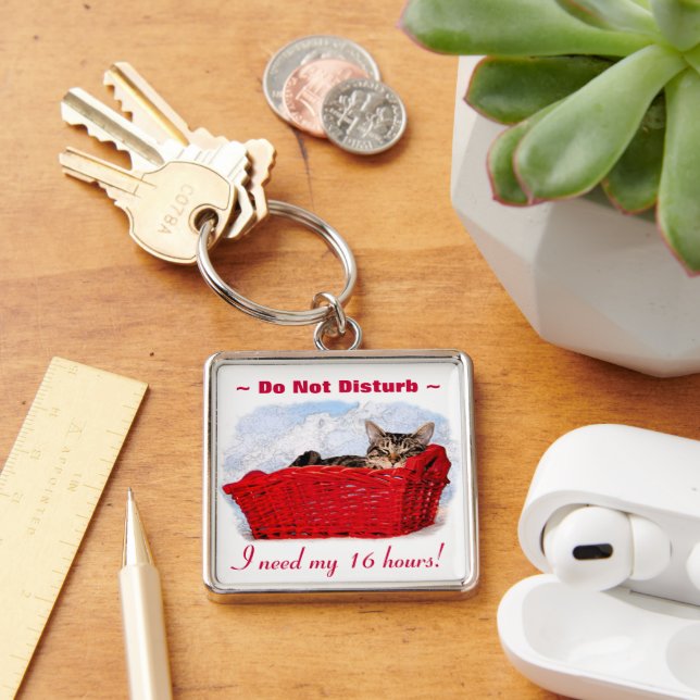 Custom Cute Kitten In Bright Red Basket Key Ring (Desk)
