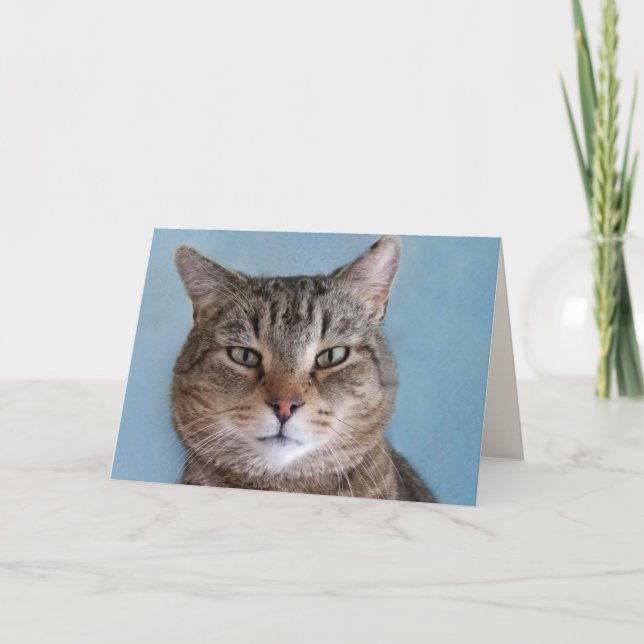 Custom Cute Kitty "From The Cat" Birthday Card (Front)