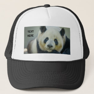 Custom Cute Panda Looking Own Text Name Printed Trucker Hat