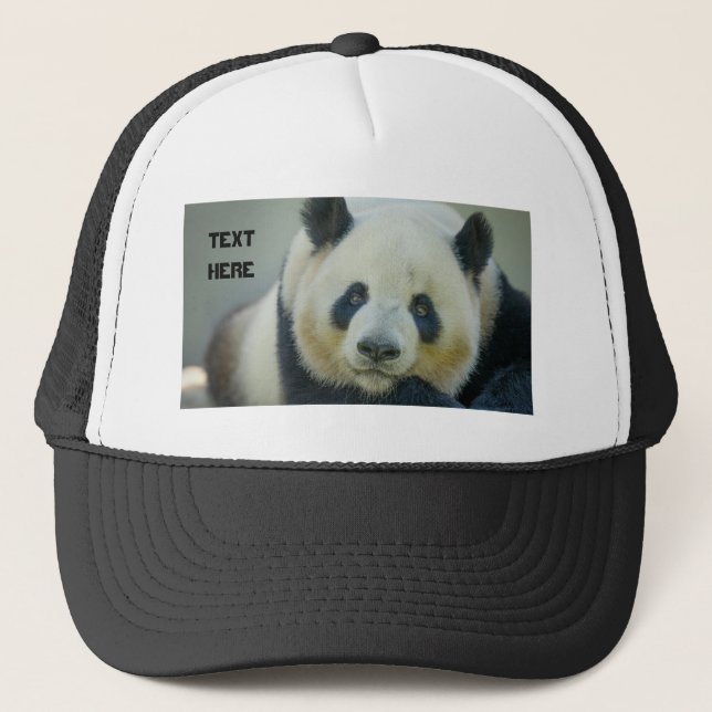 Custom Cute Panda Looking Own Text Name Printed  Trucker Hat (Front)