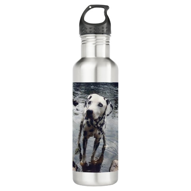 Custom Cute Pet Friend Photo Upload Dog Image 710 Ml Water Bottle (Front)