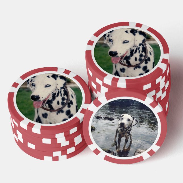 Custom Cute Pet Friend Photo - Upload Dog Image Poker Chips (Stack)