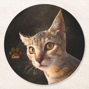 Custom Cute Pet Kitten Cat Dog Photo Template Round Paper Coaster