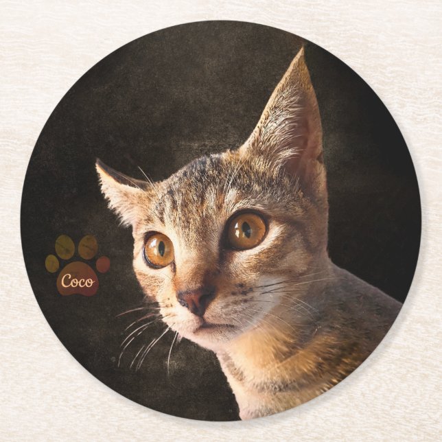 Custom Cute Pet Kitten Cat Dog Photo Template Round Paper Coaster (Front)