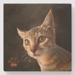 Custom Cute Pet Kitten Cat Dog Photo Template Stone Coaster