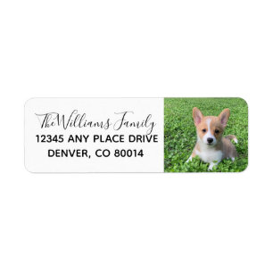 Custom Cute Pet Photo Dog Owner Photograph