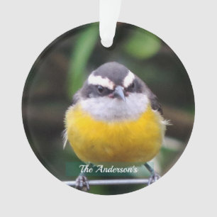 Custom Cute Yellow Breast Bird Photo Personalised Ornament