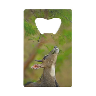 Custom deer