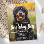 Custom Dog Birthday Pet Photo Party Invitation Postcard<br><div class="desc">Birthday Boy! Invite friends and family to your puppy or dog birthday party with this simple pet photo birthday boy design dog birthday invitation card. Add your pup's favourite photo and personalise with name, birthday number, and all dog birthday party info! Change to Birthday Girl of a girl pup. Visit...</div>