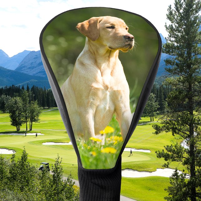 Custom Dog Cat Photo Simple Personalised Golf Head Cover (Creator Uploaded)