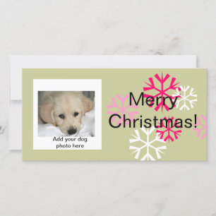 Custom Dog Christmas Photo Cards Pink Sage