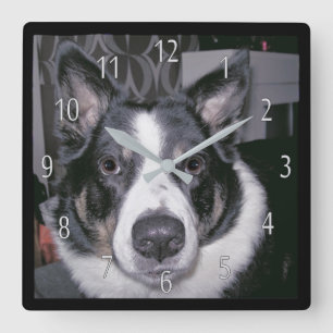 Custom Dog Clock