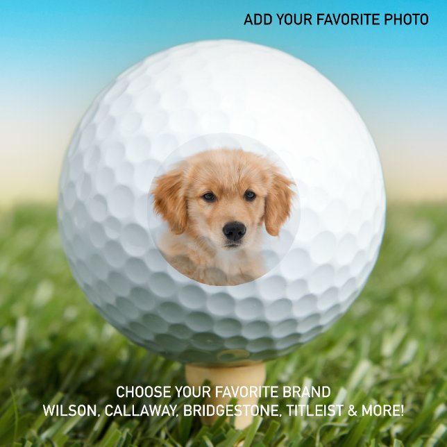 Custom Dog Face Personalised Photo Create Your Own Golf Balls (Creator Uploaded)
