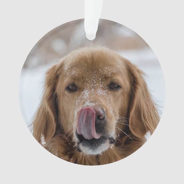 Custom Dog Holiday Ornament | Family Pet | Puppy (Front)