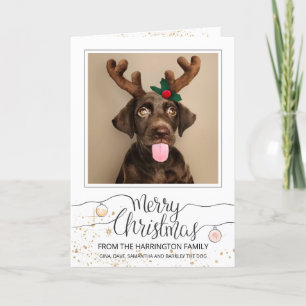 Custom Dog In Antlers Photo Christmas Holiday Card