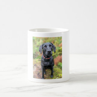 Custom Dog Mug-The Perfect Last-Minute Gift! Coffee Mug