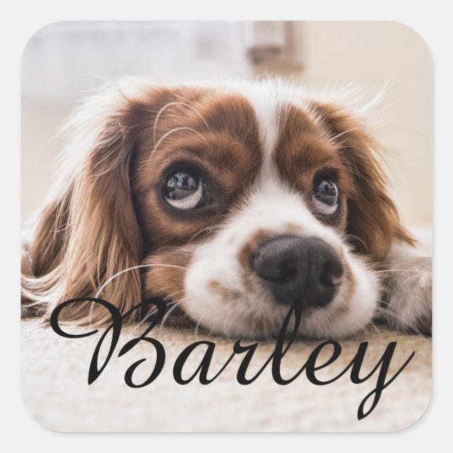 Custom Dog Name Design – Personalized Dog Lover Gi Square Sticker (Front)