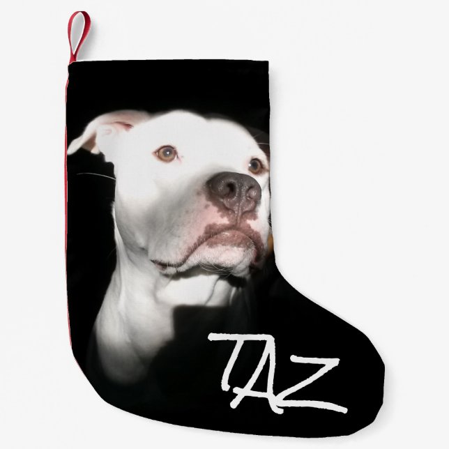 Custom Dog Name Photo Small Christmas Stocking (Front)
