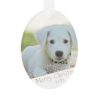 Custom Dog Pet Photo Christmas Holiday Keepsake