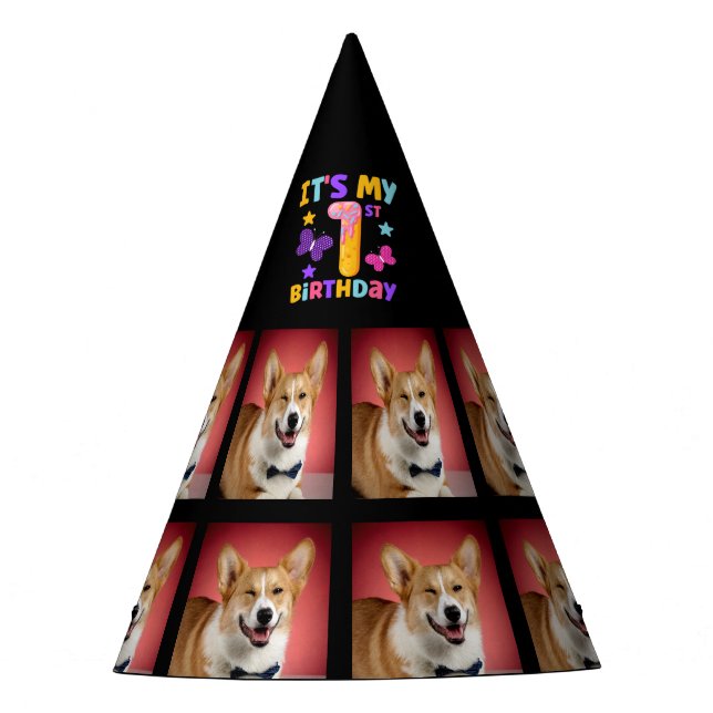Custom Dog Photo 1st birthday party  Party Hat (Front)