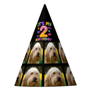 Custom Dog Photo 2nd birthday party  Party Hat