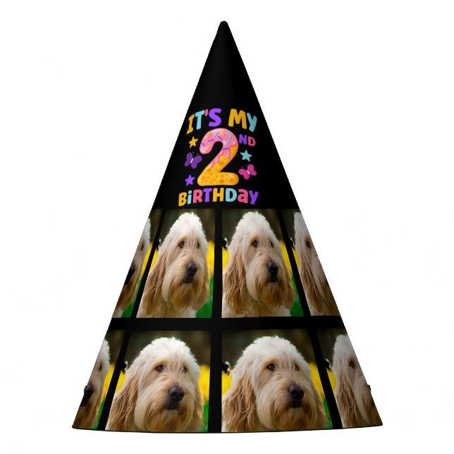 Custom Dog Photo 2nd birthday party  Party Hat (Front)