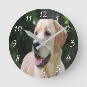 Custom Dog Photo Acrylic Wall Clock